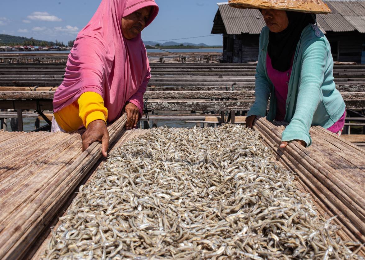 Tanjung Samudra Nauli photo product 6