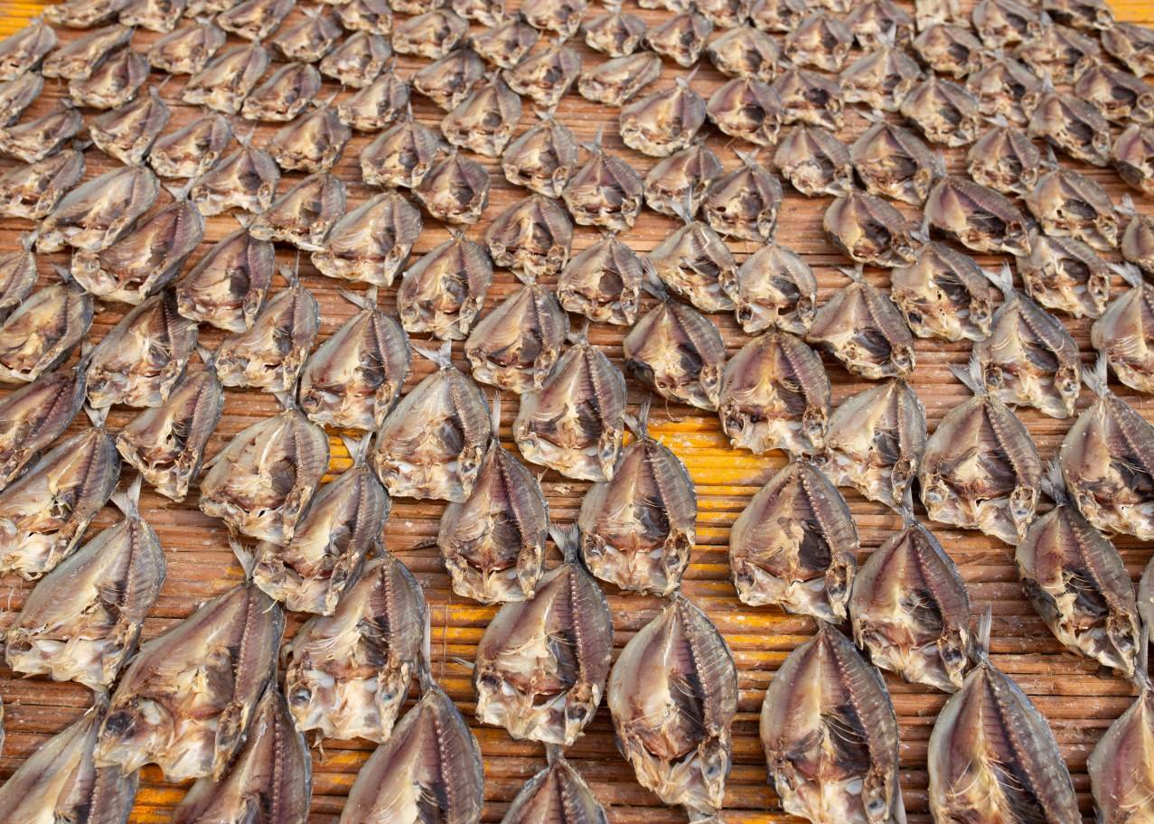 Tanjung Samudra Nauli photo product 7