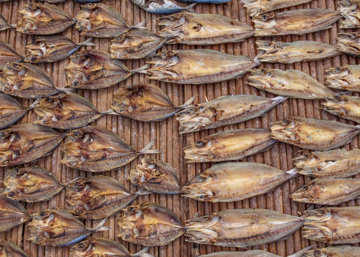 Tanjung Samudra Nauli photo product 8