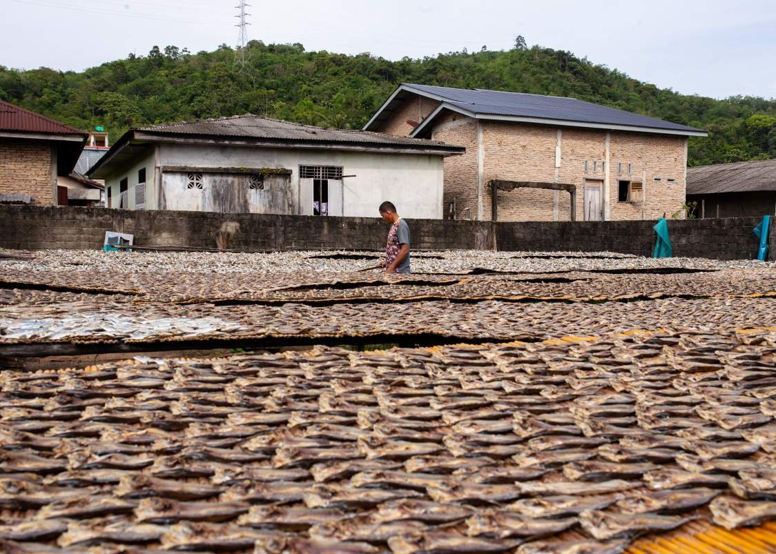 Tanjung Samudra Nauli photo product 9